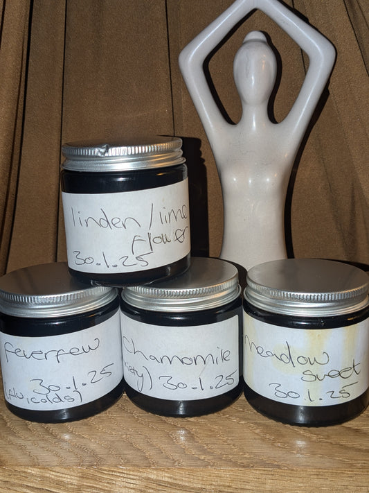 Meadowsweet Tincture- herbal headache reliever